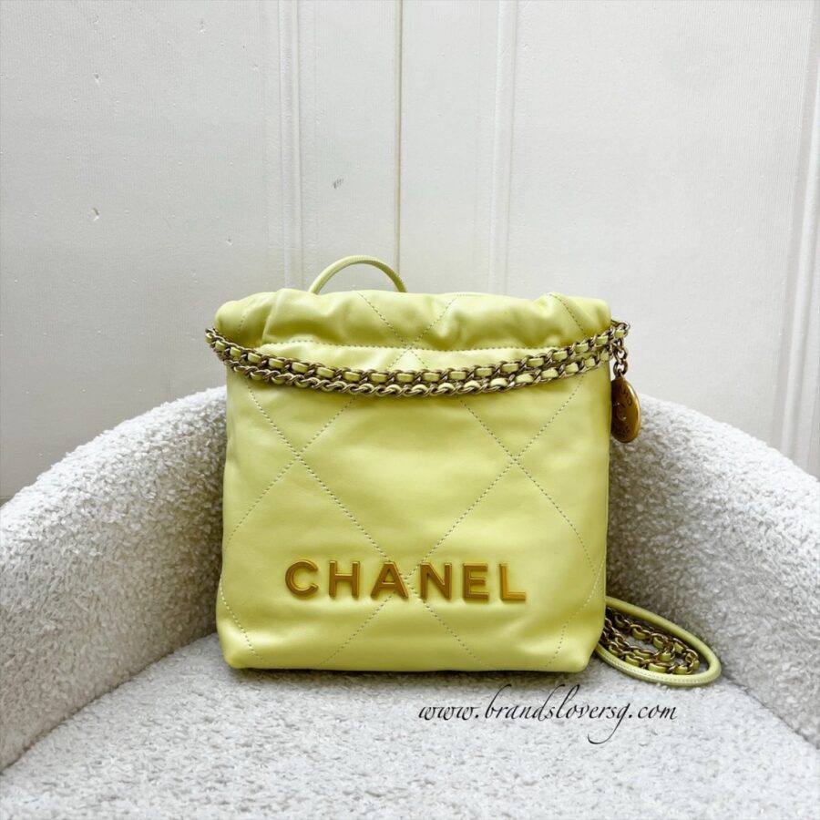 Chanel Hobo yellow bag – front view