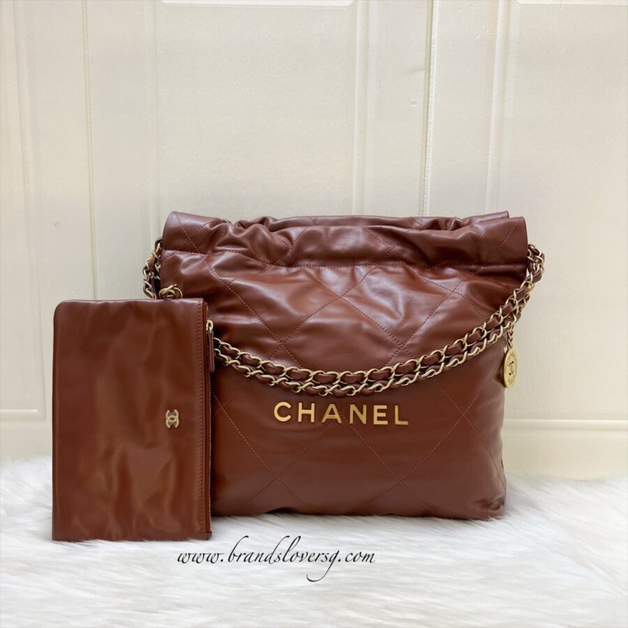 Chanel Hobo brown bag – front view