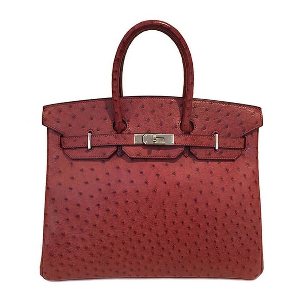 Hermes Birkin bag – front view